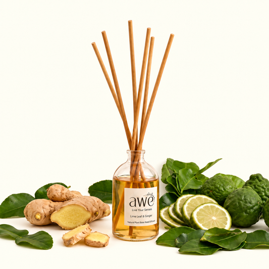 Limeleaf & Ginger Apothecary Reed Diffuser